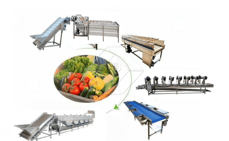 La capacité de traitement de la ligne automatique de lavage, de séchage et de classement des fruits et légumes est généralement comprise entre 300 kg/h et 3 000 kg/h.