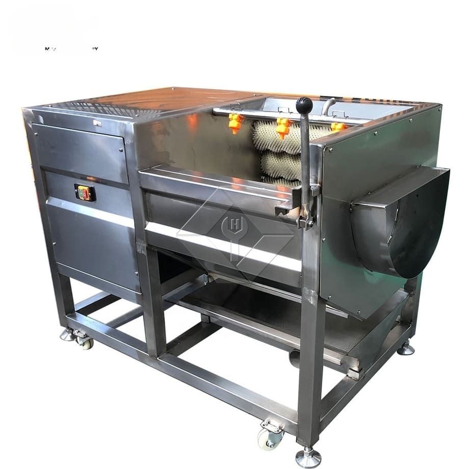 Nettoyant pour lave-rouleau de fruits, pommes de terre, gingembre