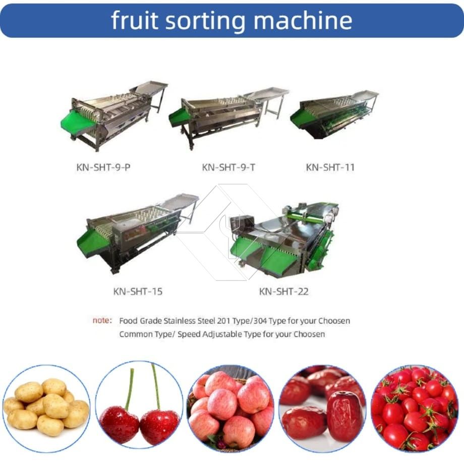 Machine de tri automatique commerciale, Machine de tri de tomates cerises et d'ail, trieuse de classification de fruits