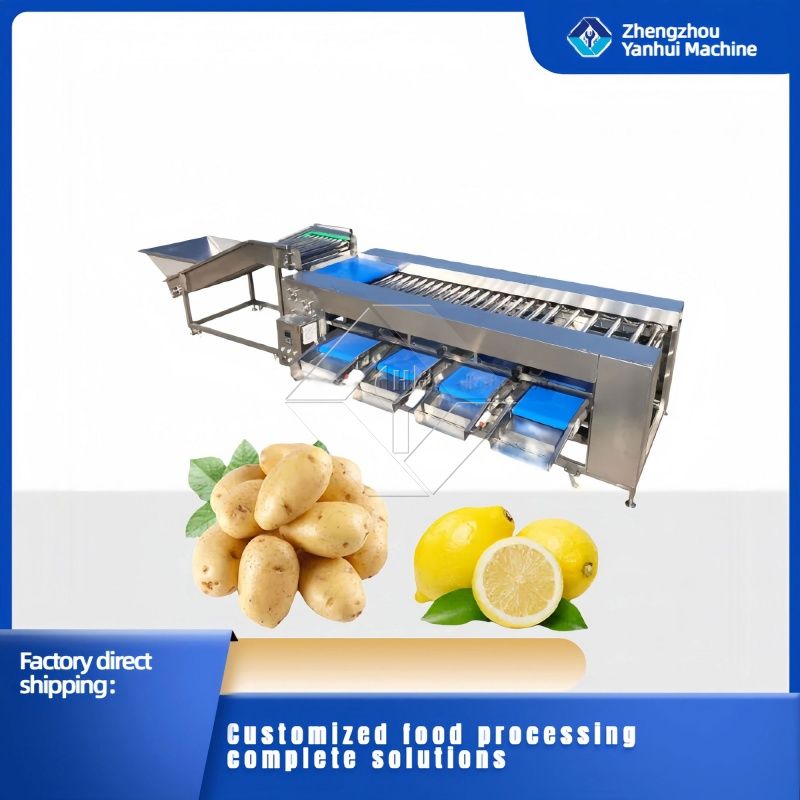 Machine de tri de légumes/fruits Machine de tri de légumes/fruits