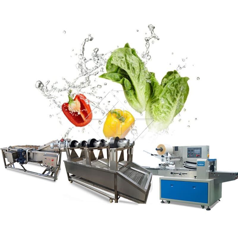 Ligne de production de salades de légumes | Usine de transformation de laitue
