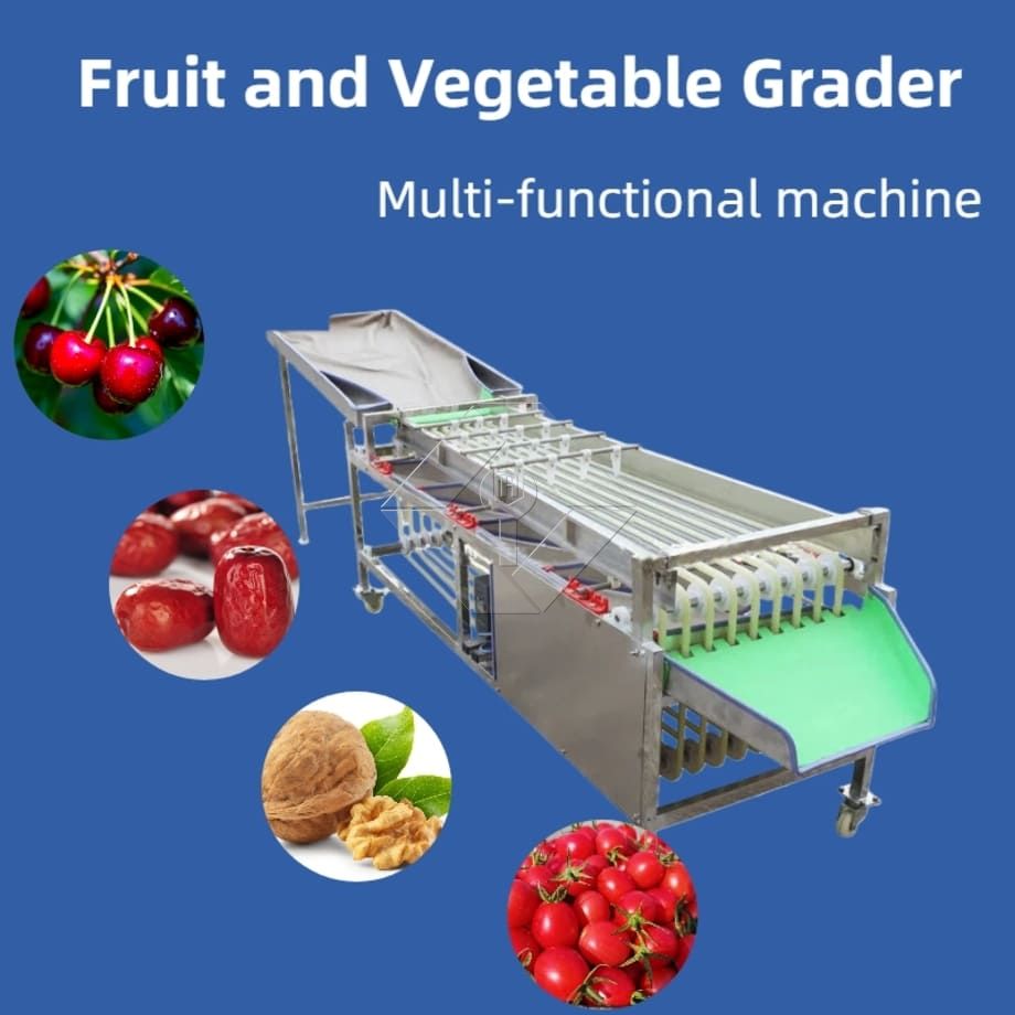 Machine de tri automatique commerciale, Machine de tri de tomates cerises et d'ail, trieuse de classification de fruits