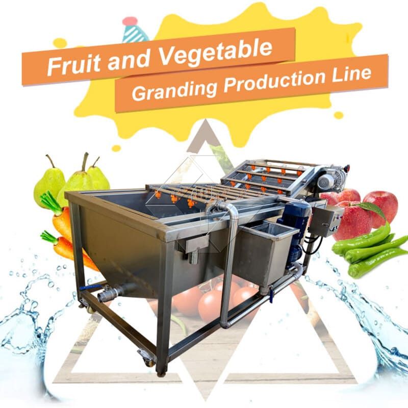 Ligne de production de salades de légumes | Usine de transformation de laitue