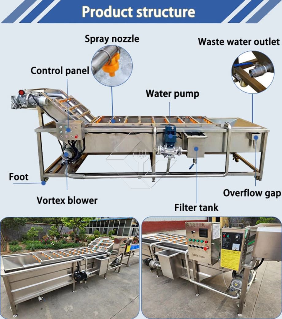 Convoyeur de laveuse de fruits et légumes | Machine à laver à bulles pour un nettoyage efficace des produits Convoyeur de laveuse de fruits et légumes | Machine à laver à bulles pour un nettoyage efficace des produits