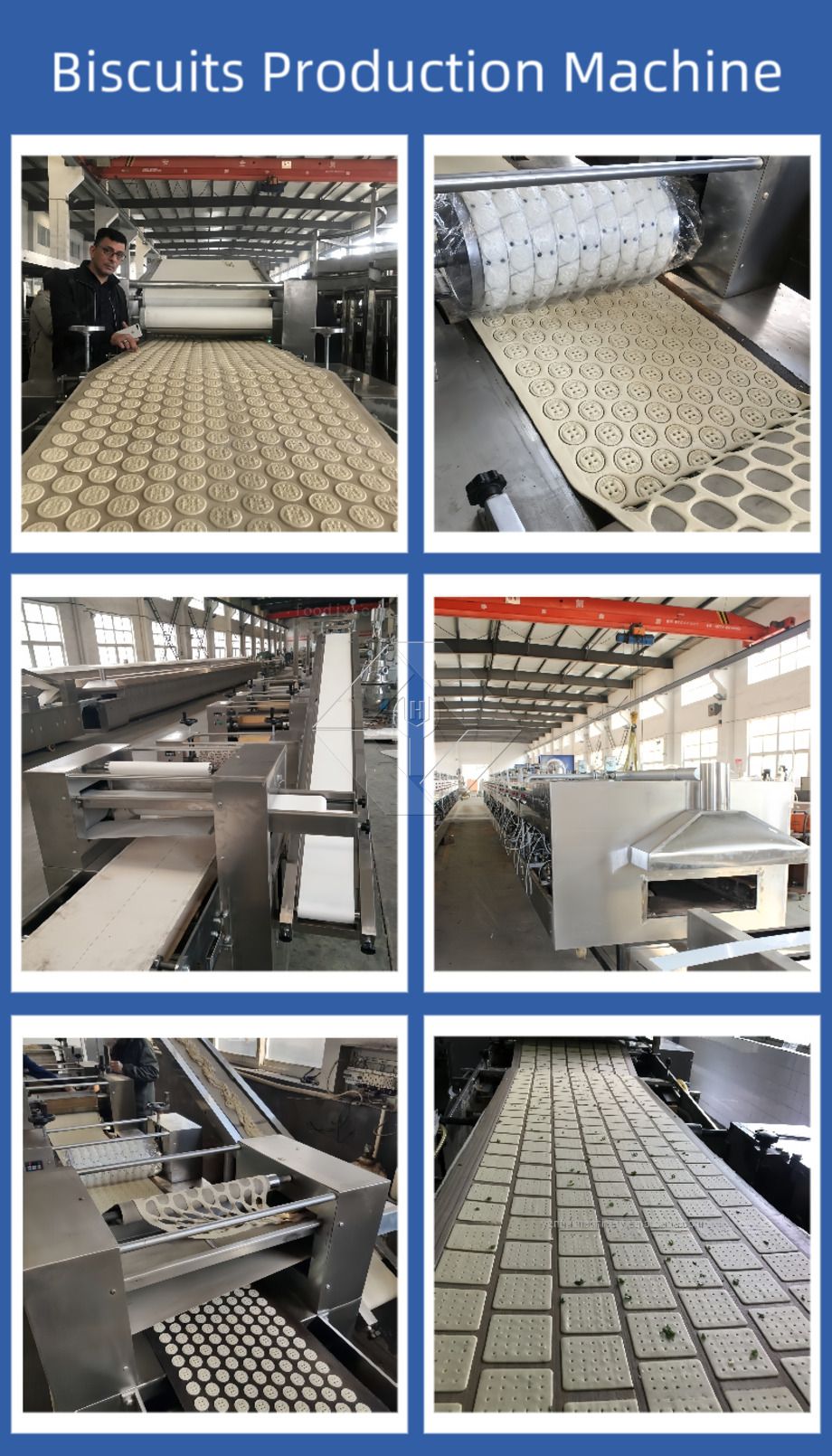 Machine automatique de fabrication de biscuits | Ligne de production de biscuits croustillants et durs | Équipement industriel pour biscuits