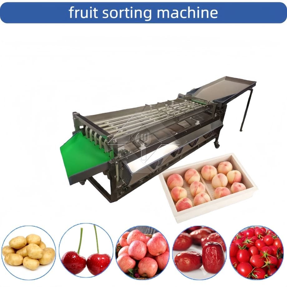 Machine de tri automatique commerciale, Machine de tri de tomates cerises et d'ail, trieuse de classification de fruits