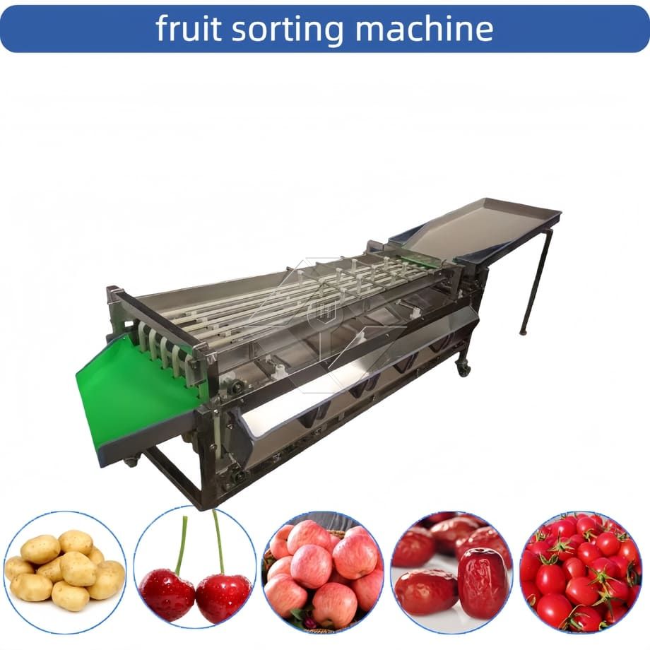 Machine de tri automatique commerciale, Machine de tri de tomates cerises et d'ail, trieuse de classification de fruits