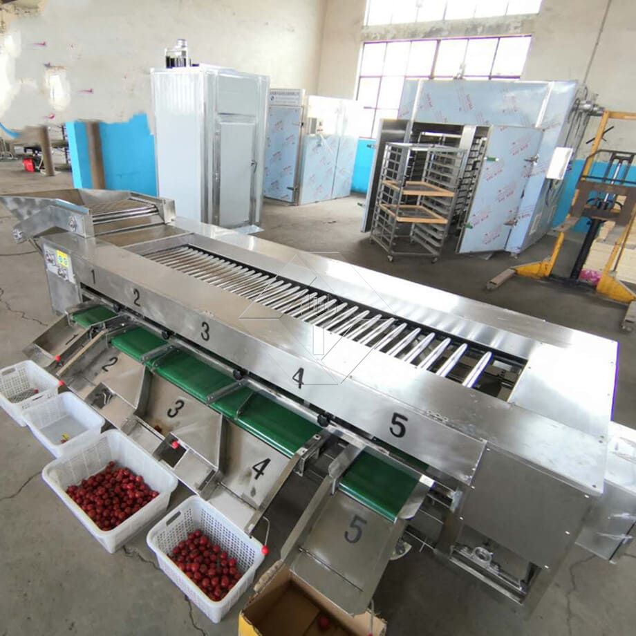 La capacité de traitement de la ligne automatique de lavage, de séchage et de classement des fruits et légumes est généralement comprise entre 300 kg/h et 3 000 kg/h.