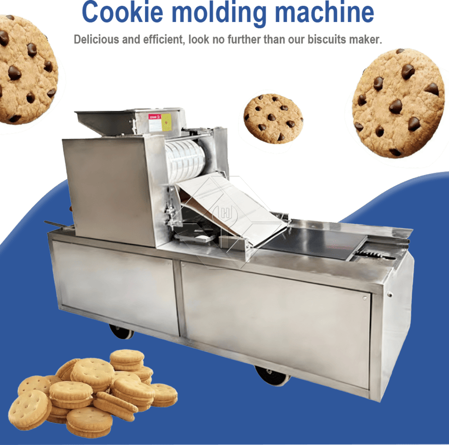 Rouleau de gâteau aux noix formant la machine Biscuit croustillant à la pêche Biscuits d'Italie faisant la machine Biscuits à l'avoine faisant la machine de formage