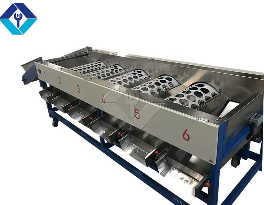 La capacité de traitement de la ligne automatique de lavage, de séchage et de classement des fruits et légumes est généralement comprise entre 300 kg/h et 3 000 kg/h.