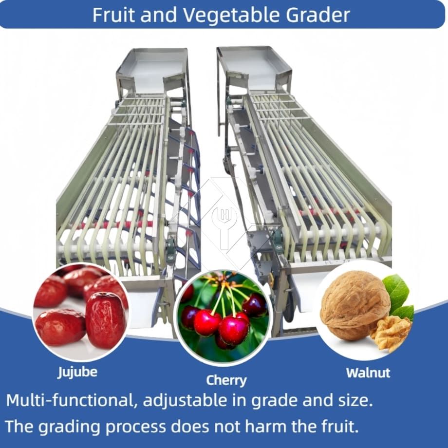 Machine de tri automatique commerciale, Machine de tri de tomates cerises et d'ail, trieuse de classification de fruits