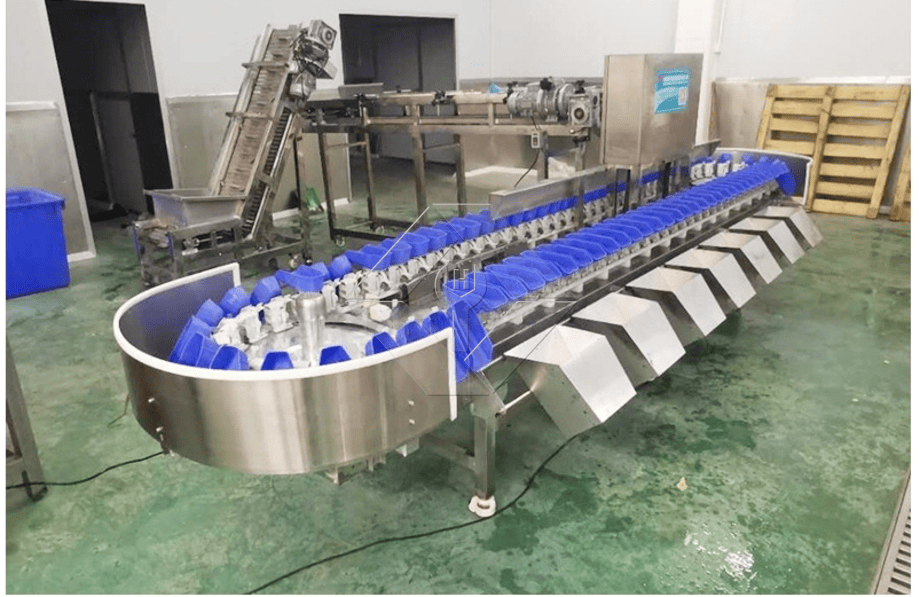 La capacité de traitement de la ligne automatique de lavage, de séchage et de classement des fruits et légumes est généralement comprise entre 300 kg/h et 3 000 kg/h.