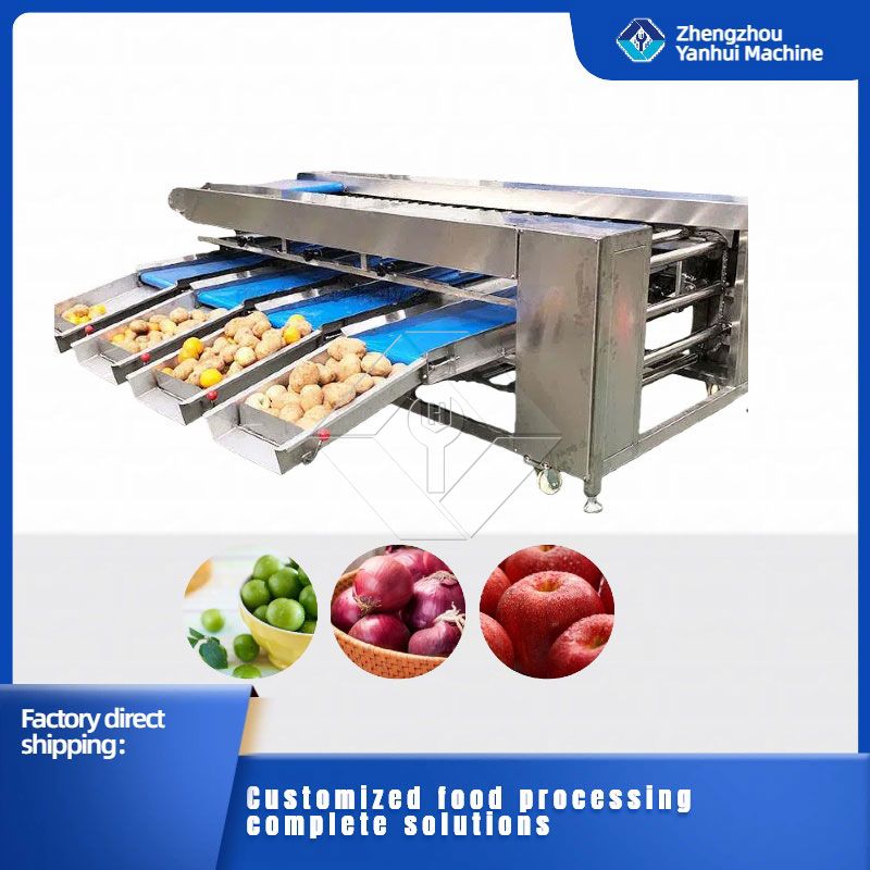 Machine de tri de légumes/fruits Machine de tri de légumes/fruits