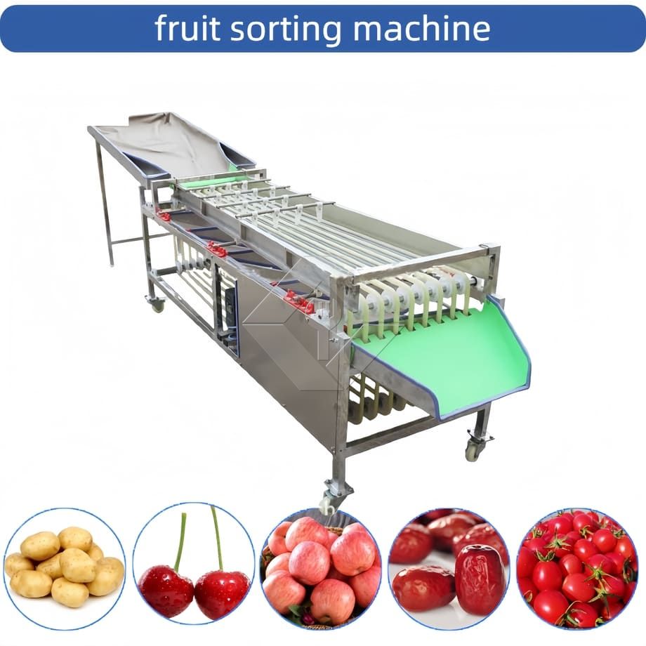 Machine de tri automatique commerciale, Machine de tri de tomates cerises et d'ail, trieuse de classification de fruits