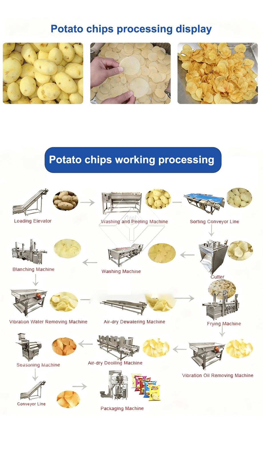 Machine automatique de fabrication de pommes de terre frites frites à grande échelle, prix de la dinde, ligne de production de frites