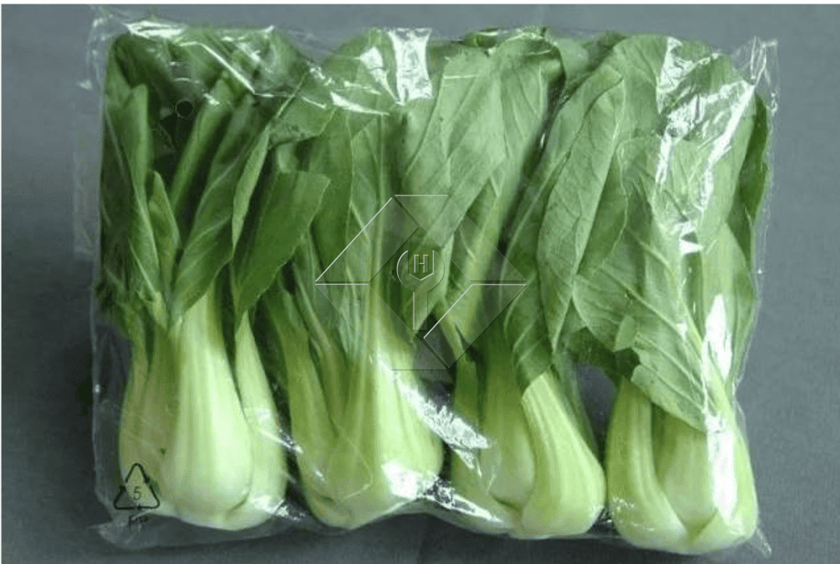 Ligne de production de salades de légumes | Usine de transformation de laitue