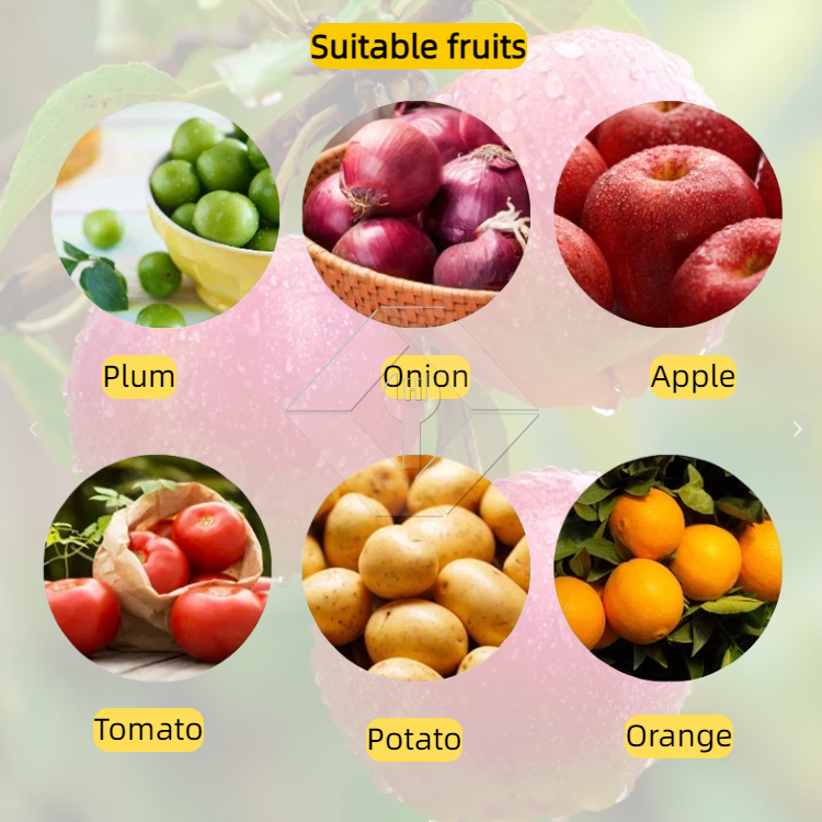 Machine de tri de légumes/fruits Machine de tri de légumes/fruits
