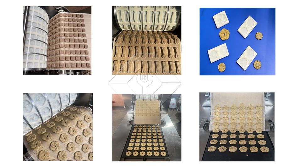 Rouleau de gâteau aux noix formant la machine Biscuit croustillant à la pêche Biscuits d'Italie faisant la machine Biscuits à l'avoine faisant la machine de formage