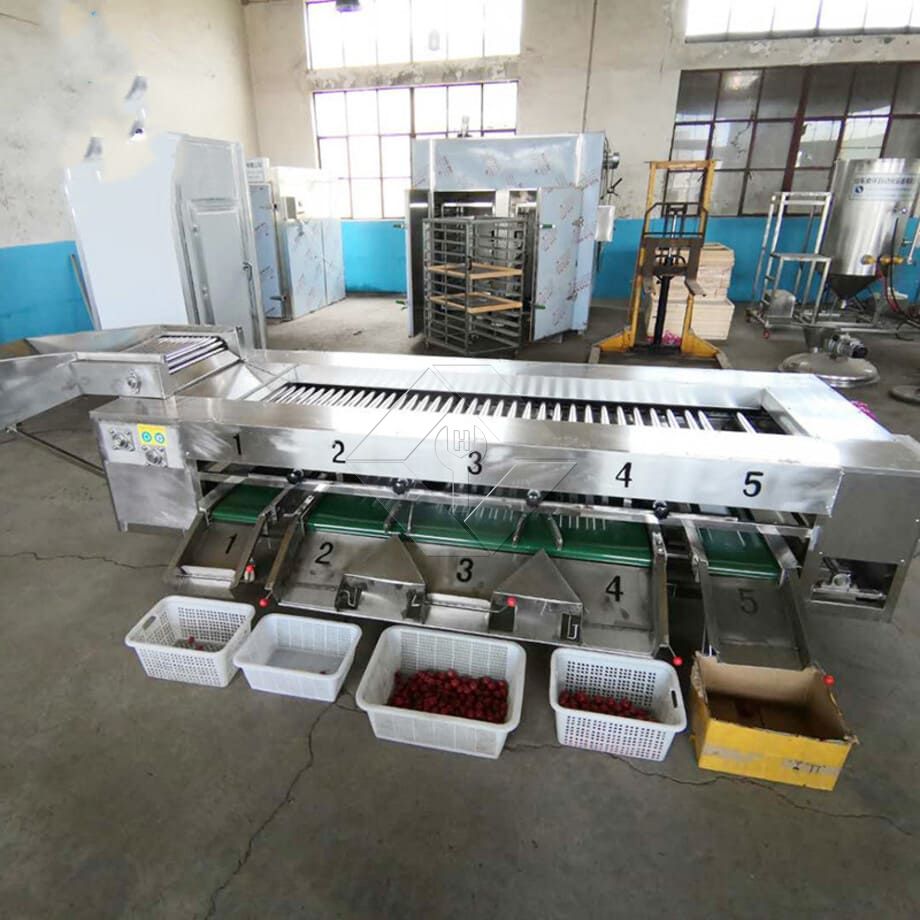 La capacité de traitement de la ligne automatique de lavage, de séchage et de classement des fruits et légumes est généralement comprise entre 300 kg/h et 3 000 kg/h.