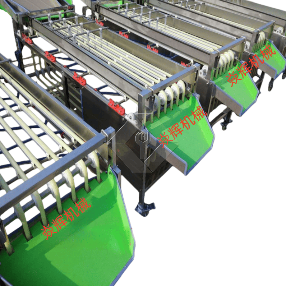 Machine de tri automatique commerciale, Machine de tri de tomates cerises et d'ail, trieuse de classification de fruits