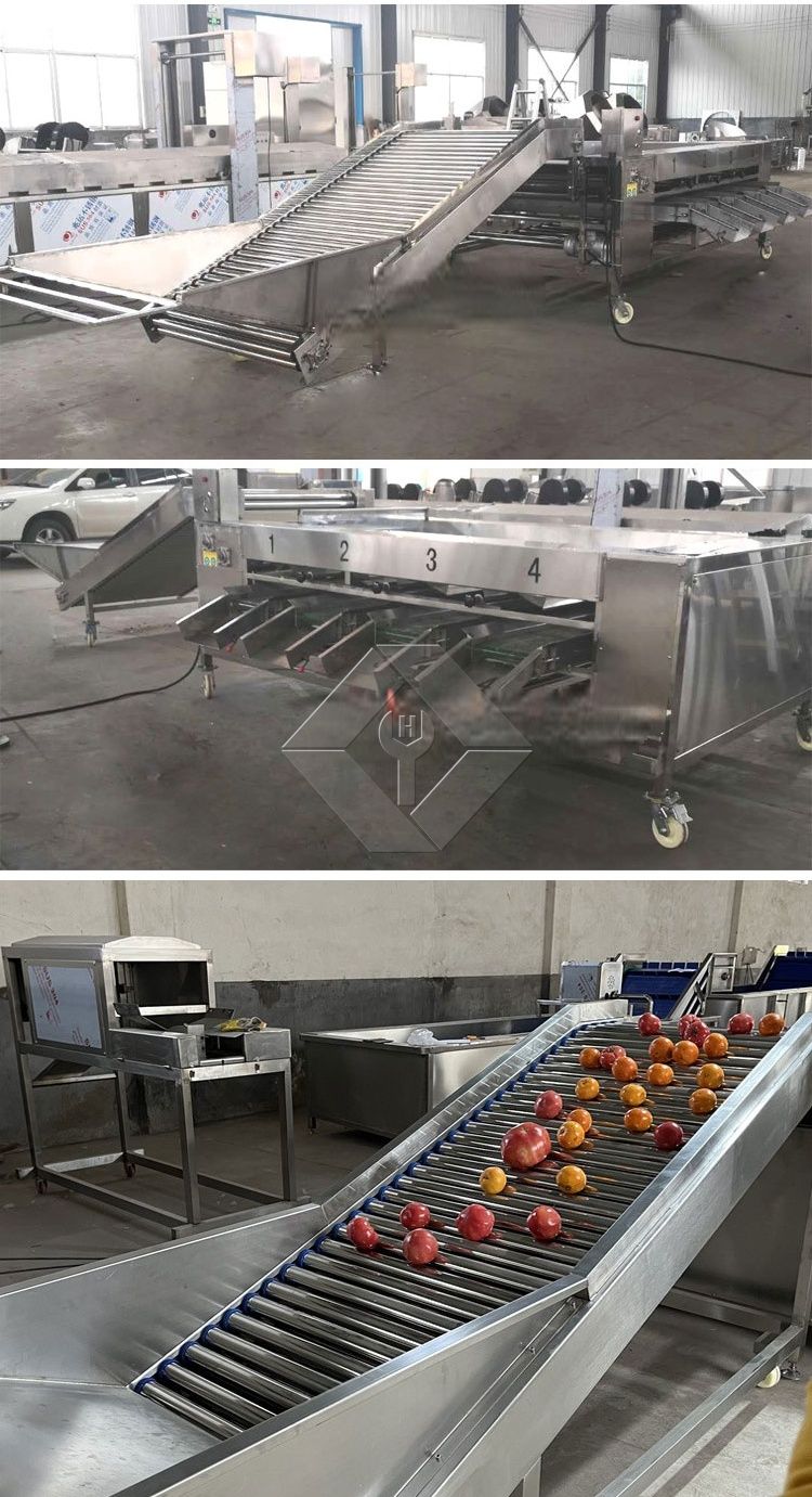 Machine de tri de légumes/fruits Machine de tri de légumes/fruits