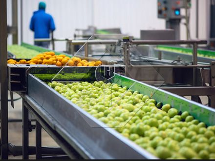 La capacité de traitement de la ligne automatique de lavage, de séchage et de classement des fruits et légumes est généralement comprise entre 300 kg/h et 3 000 kg/h.