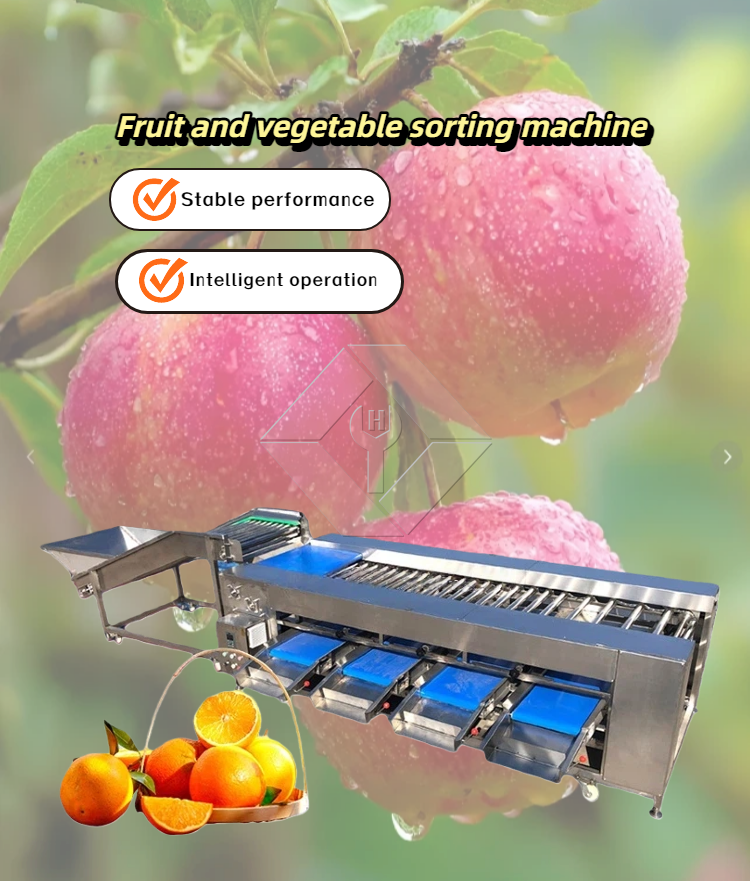 Machine de tri de légumes/fruits Machine de tri de légumes/fruits