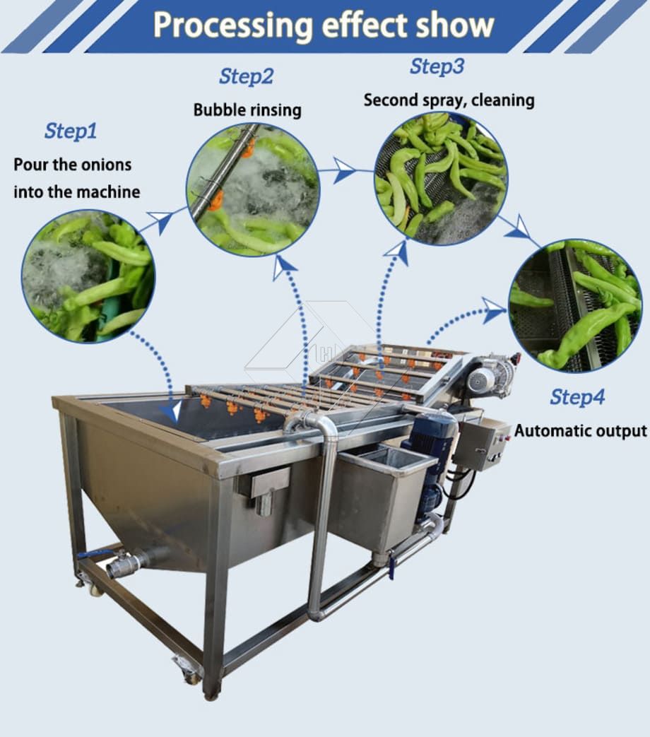 Convoyeur de laveuse de fruits et légumes | Machine à laver à bulles pour un nettoyage efficace des produits Convoyeur de laveuse de fruits et légumes | Machine à laver à bulles pour un nettoyage efficace des produits