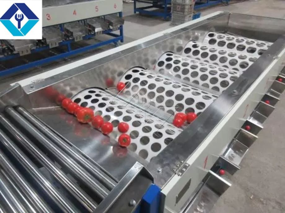 La capacité de traitement de la ligne automatique de lavage, de séchage et de classement des fruits et légumes est généralement comprise entre 300 kg/h et 3 000 kg/h.